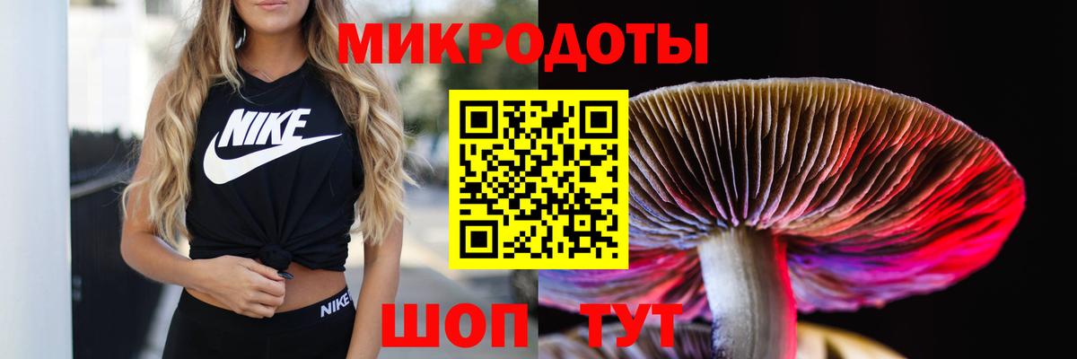 Ачхой-Мартан  Псилоцибиновые грибы Psilocybe  Вход с VPN 