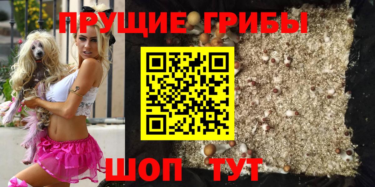 Галлюциногенные грибы GOLDEN TEACHER Ачхой-Мартан